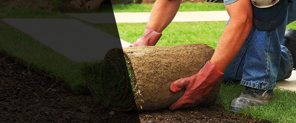 Adkins Landscapers